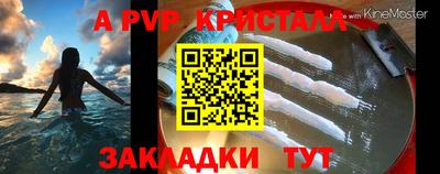 эйфоретик Тара